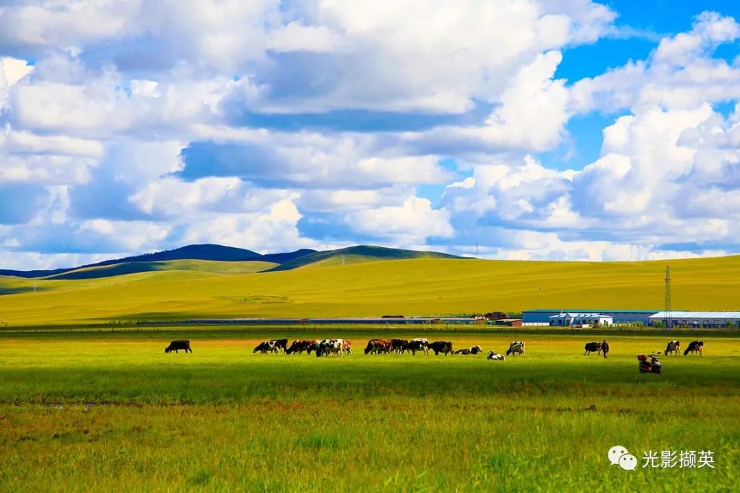 日照市老干部摄影协会