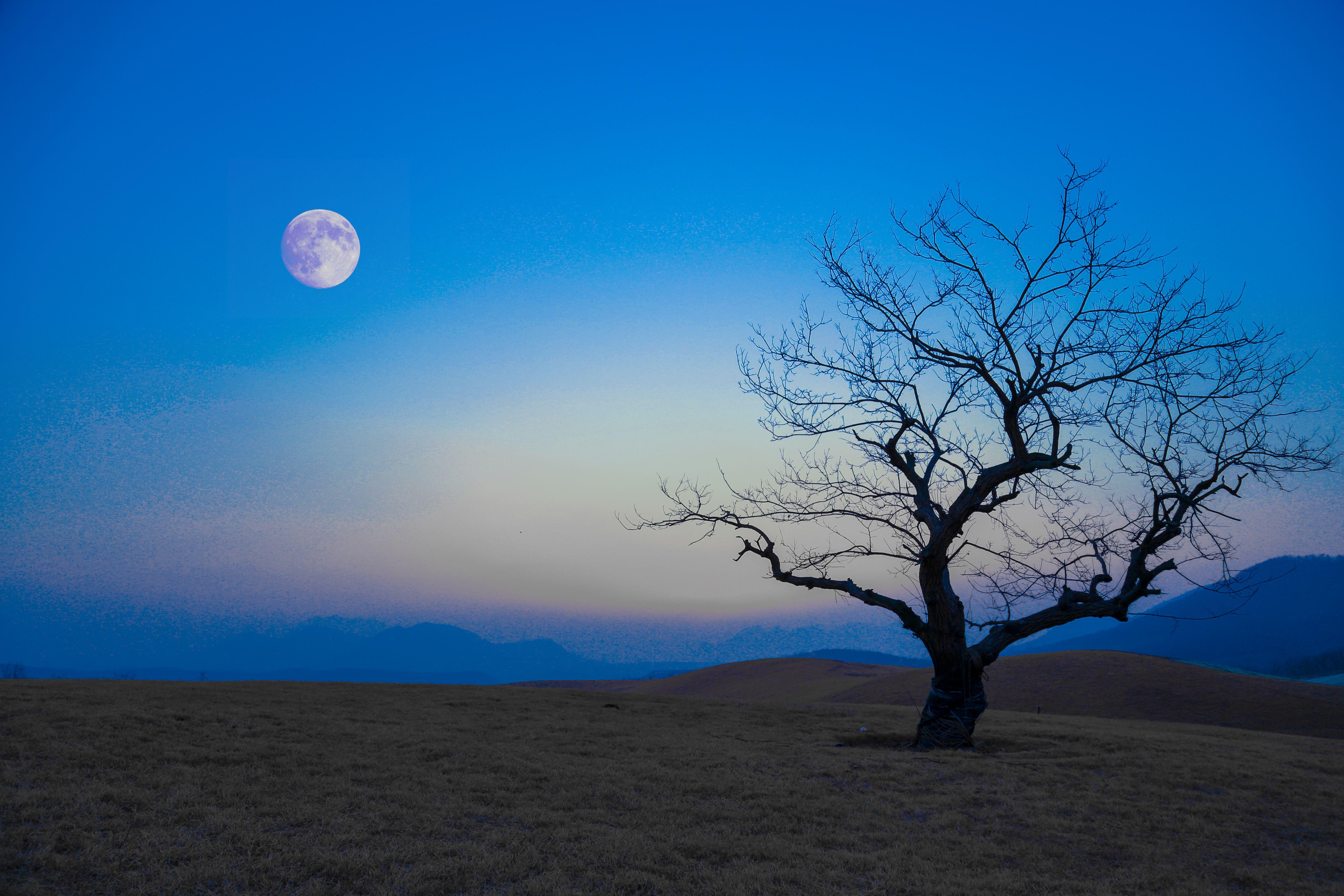 影友园地 | 彩色的世界