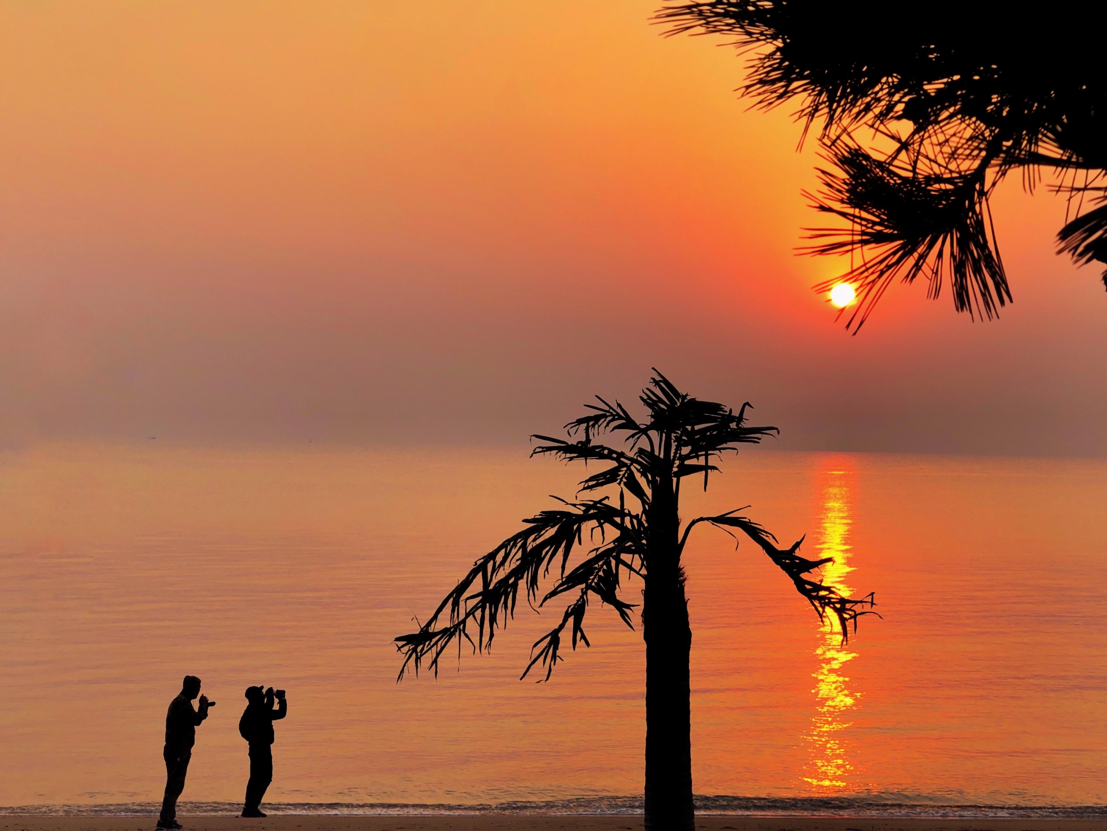 影友园地|送你一缕阳光