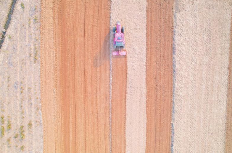 不误农时不负春