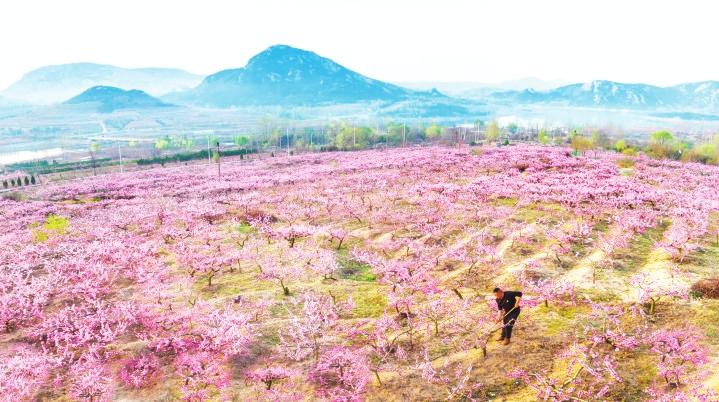 美丽乡村的优美风景