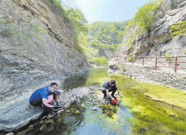 “天然氧吧”在身边