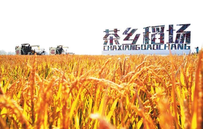 好“丰”景