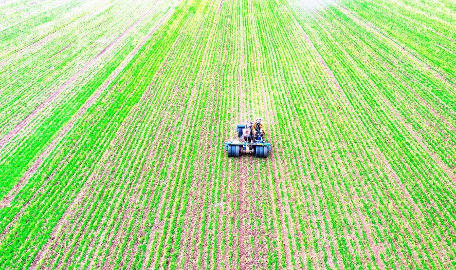 春来田间农事忙