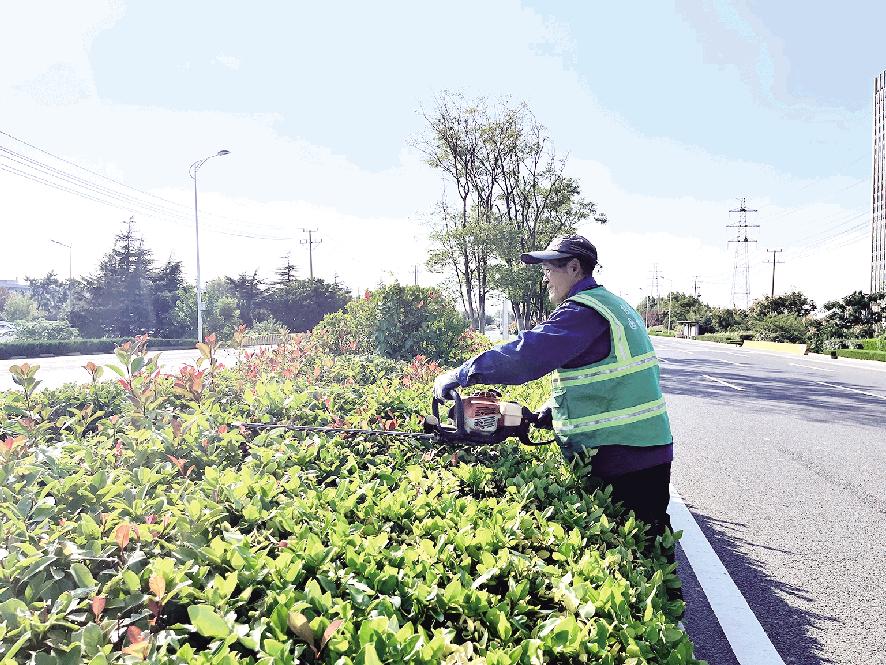 绿化养护提升景观品质