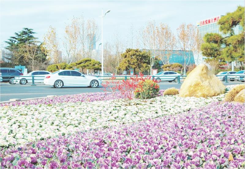 冬日添彩正当时