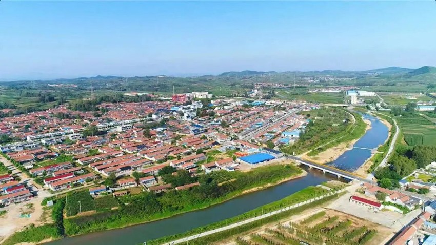 黄墩镇:"一村一品",叩开致富门!