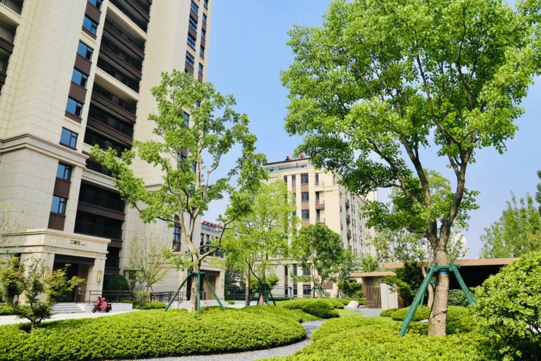 予你向往的生活天宁君悦府南区一方园林揽尽四季芳华