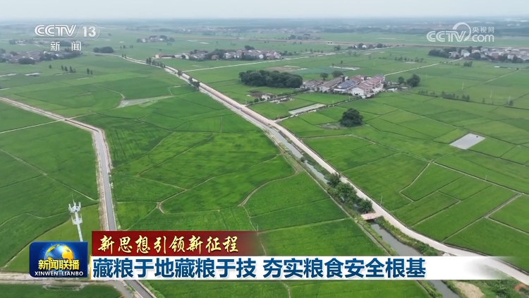 【新思想引领新征程】藏粮于地藏粮于技 夯实粮食安全根基-日照要闻-日照新闻网-日照第一门户网站 日照新闻-日照日报-黄海晨刊