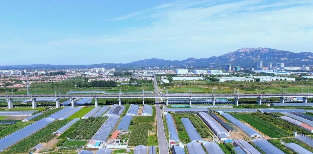 乡村振兴齐鲁样板村村有好戏丨日照高新区河山镇结对共建促振兴