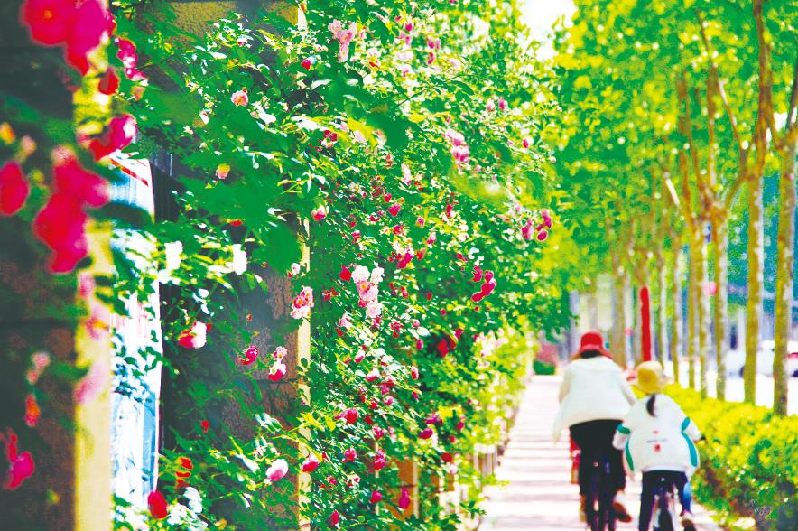 日照要闻-日照新闻网-日照第一门户网站 日照新闻-日照日报-黄海晨刊