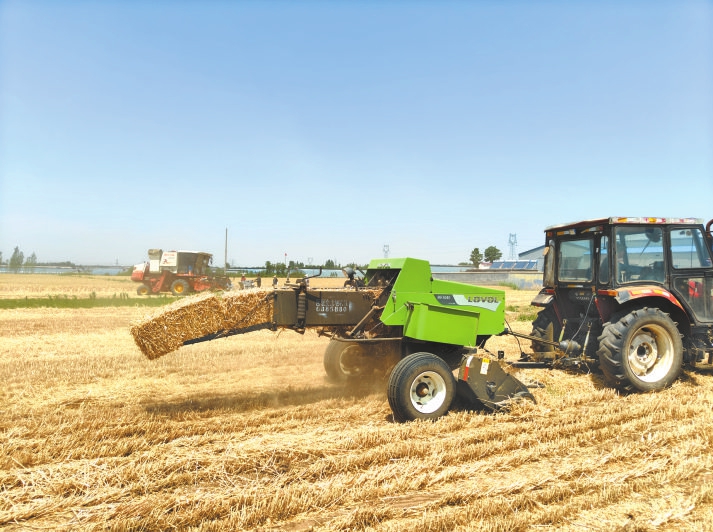 日照要闻-日照新闻网-日照第一门户网站 日照新闻-日照日报-黄海晨刊