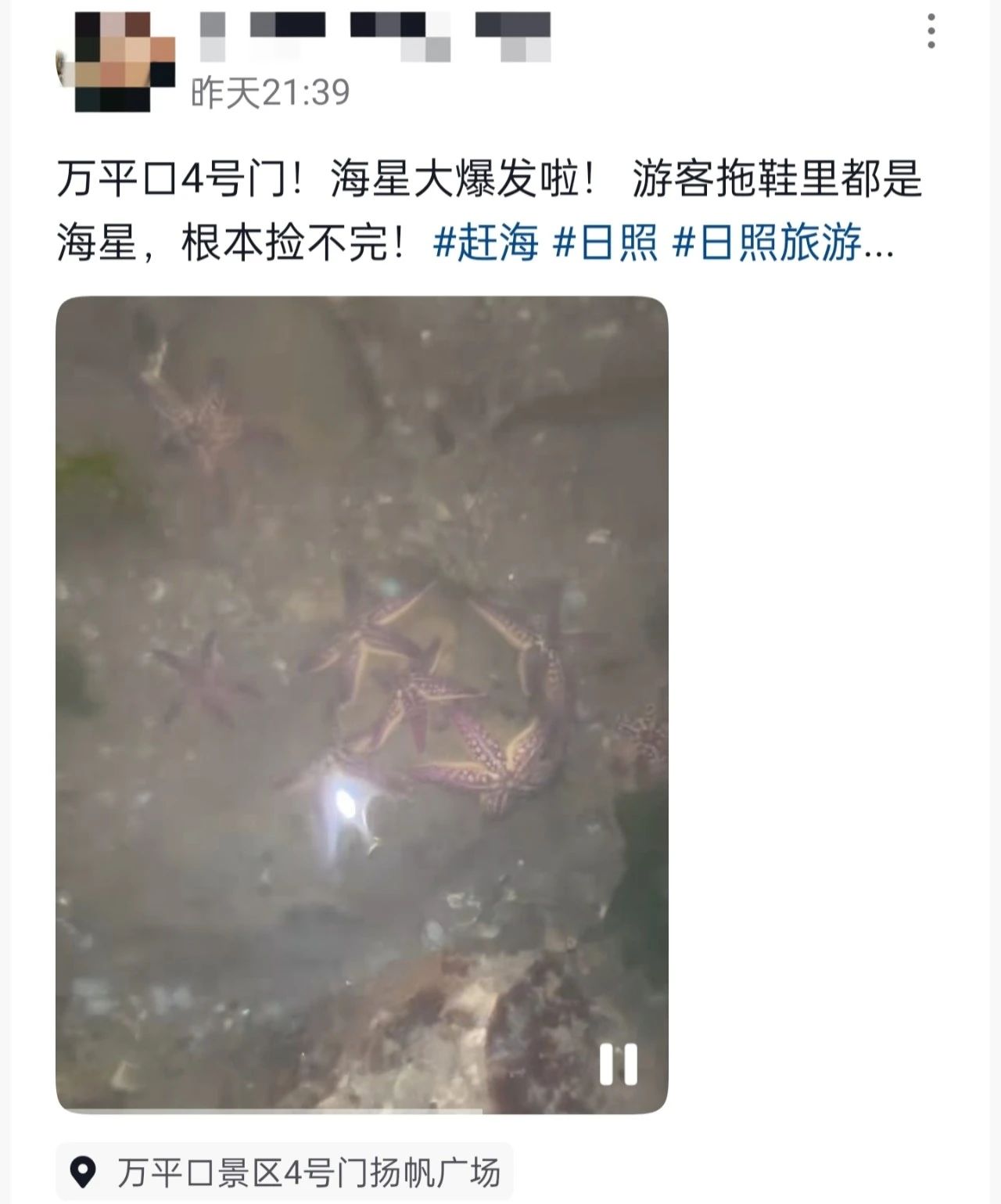 热闹有趣！一抓一桶！日照这些地方太“宝藏”了！